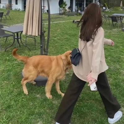小鬼翘家