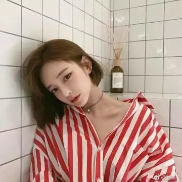 闪电狗