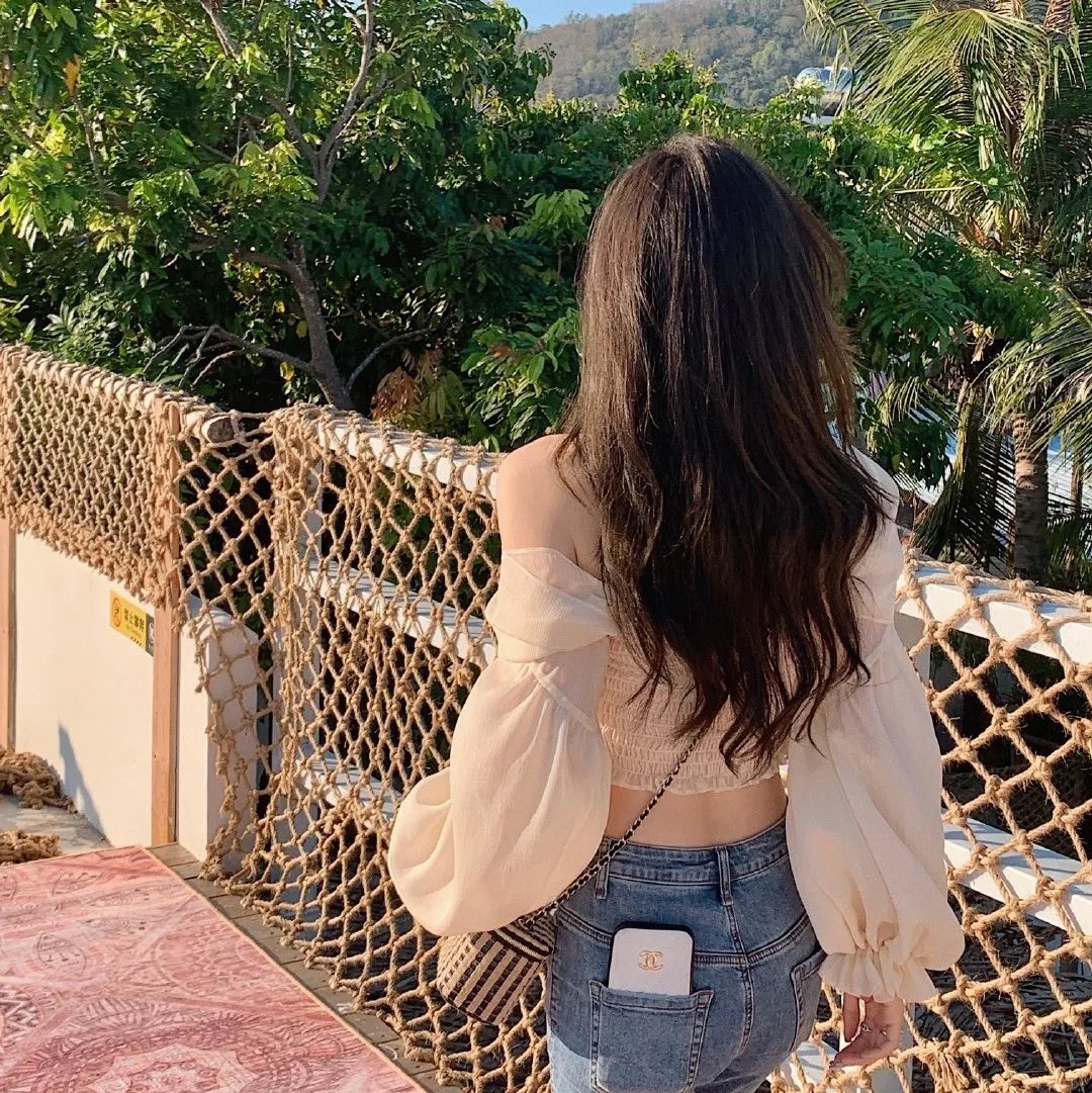 杏苑风流